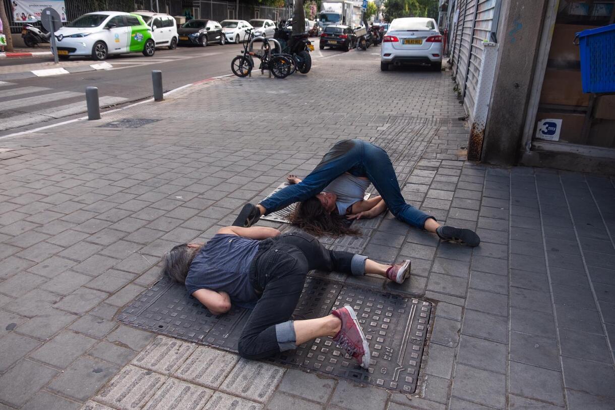 ארז מעין שלו 2